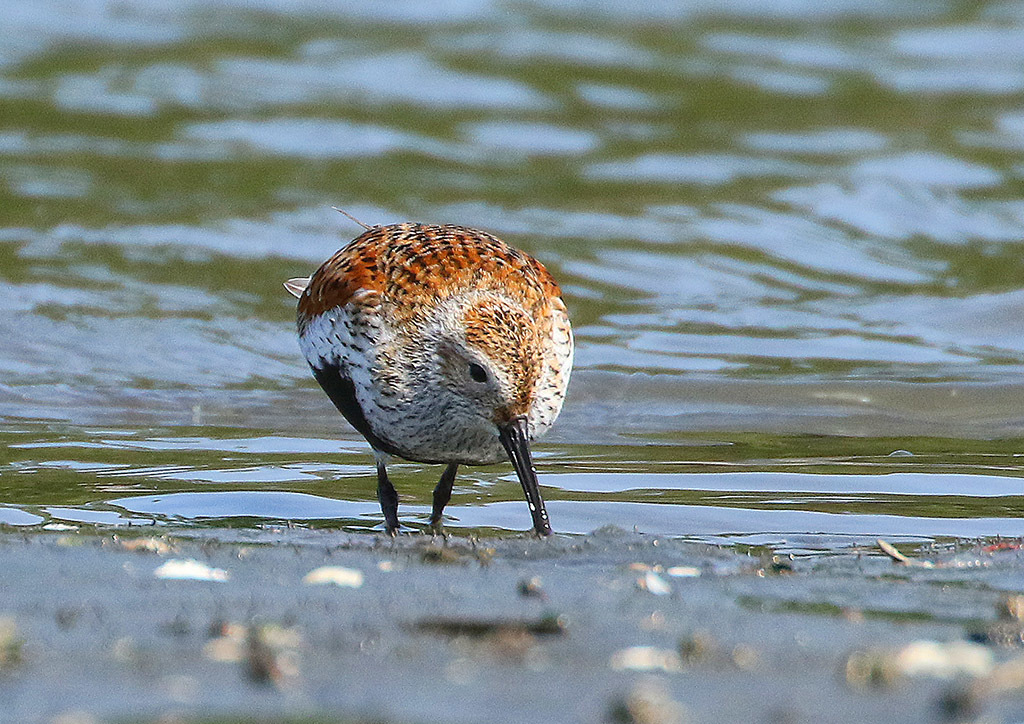 海辺の公園_d0313867_14500607.jpg