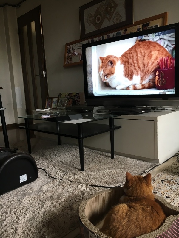 f0363168_12572461.jpeg