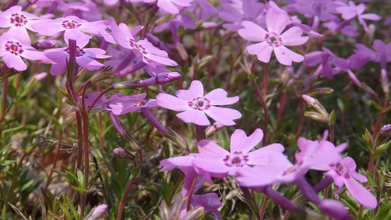 f0362073_07313248.jpg