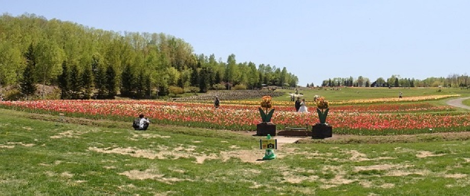 f0362073_07450094.jpg