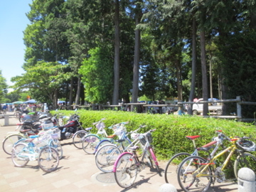 c0337875_20085887.jpg