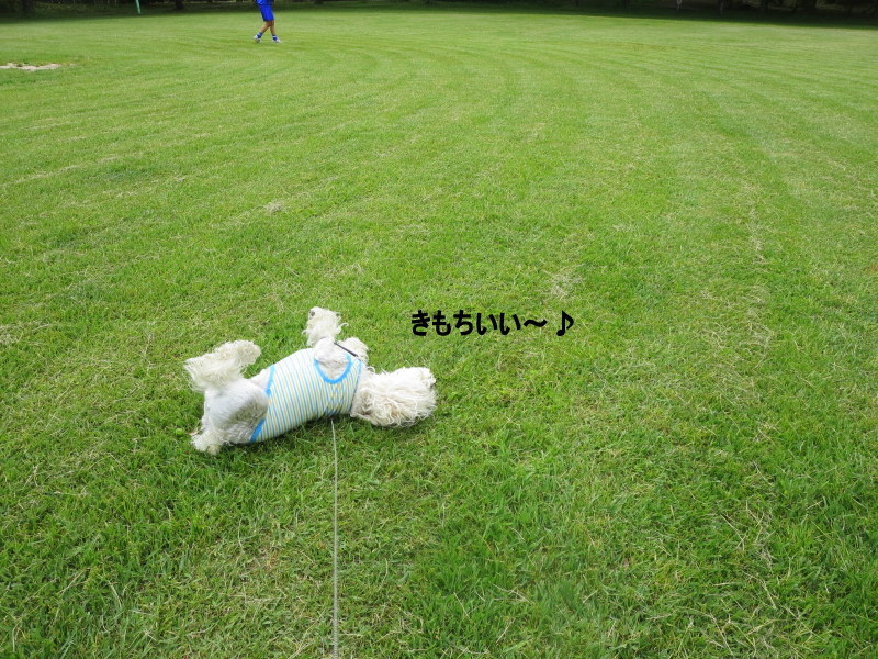 d0264176_16151344.jpg
