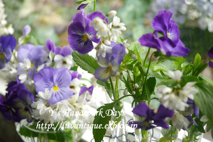 f0330978_15014626.gif