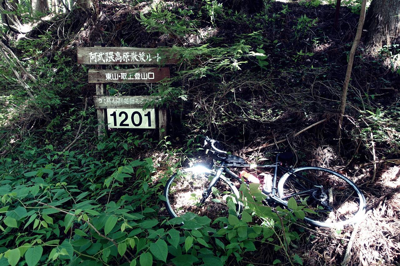 e0167780_18450794.jpg