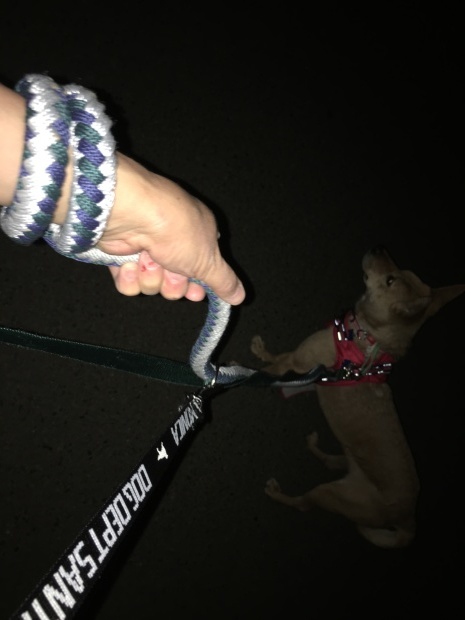 b0377882_22551374.jpeg