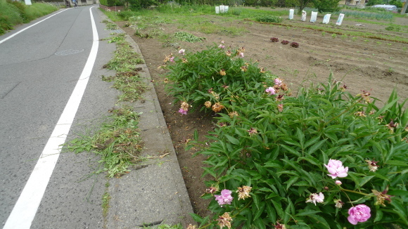 c0212083_16444889.jpg