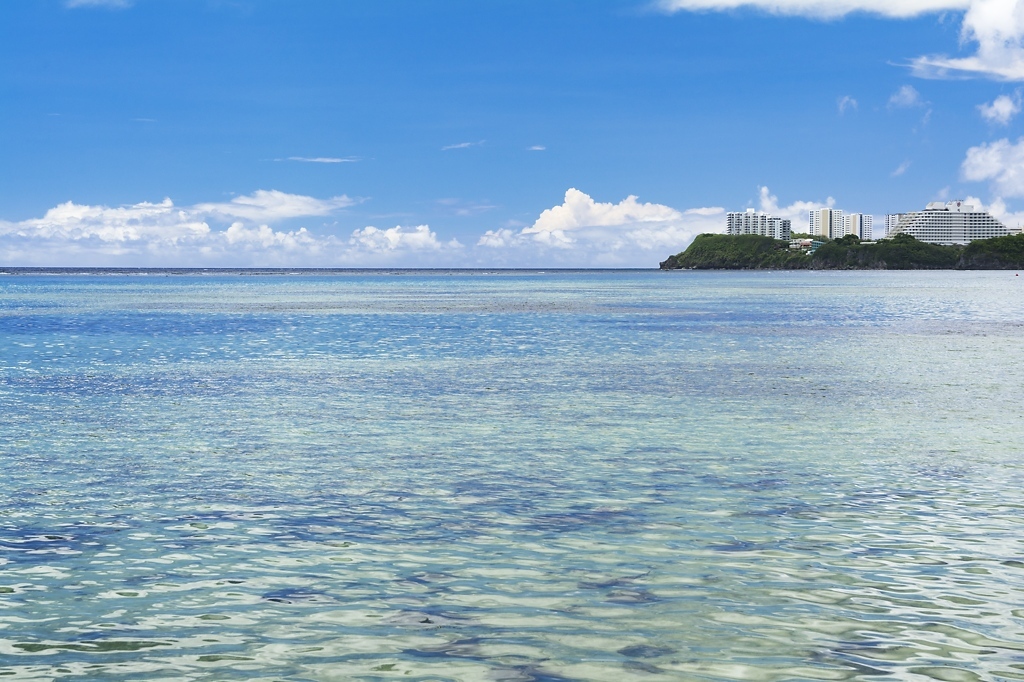 Amazon.co.jp: 美しい南国の風景 ヤシの木 ビーチ 海 島ウォール