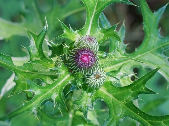 e0176993_07223322.jpg