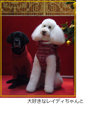 d0282395_15034307.png