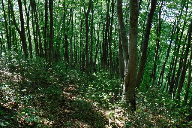 e0137200_23505569.jpg