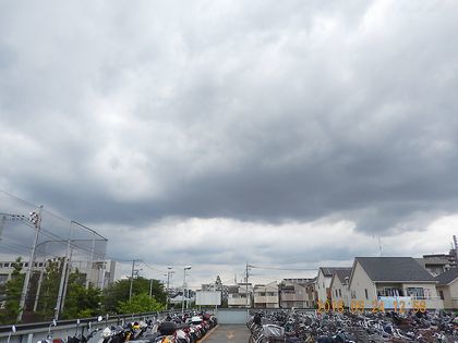 d0051601_22453442.jpg
