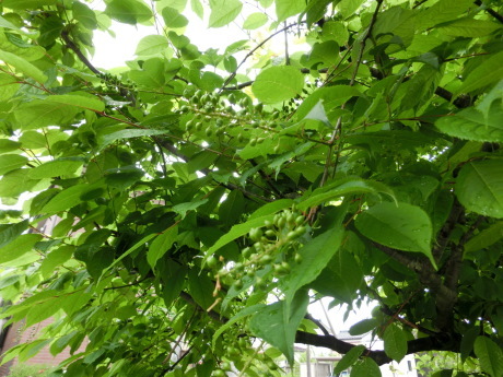 a0203003_10571483.jpg
