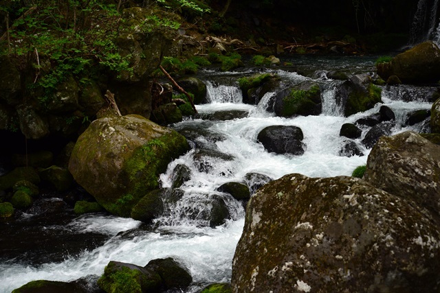 f0373905_09593909.jpg