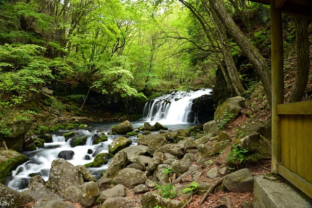 f0373905_09595002.jpg