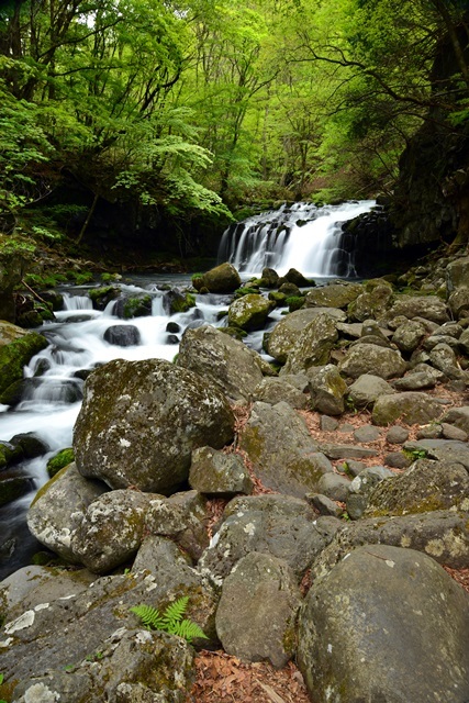 f0373905_10000368.jpg