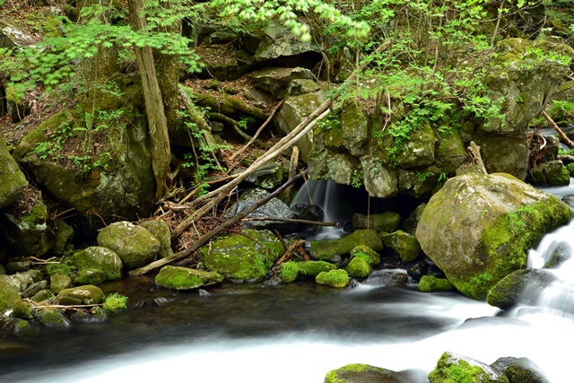 f0373905_10000691.jpg