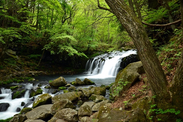 f0373905_10001358.jpg
