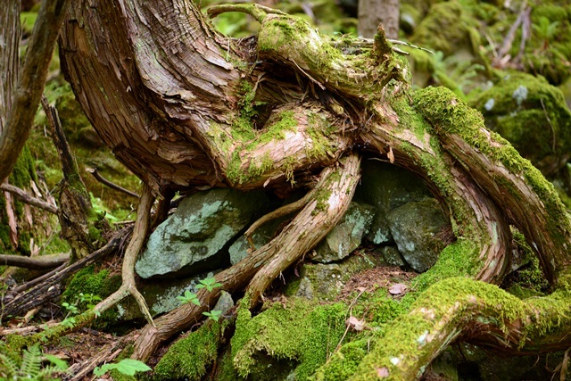 f0373905_10002961.jpg