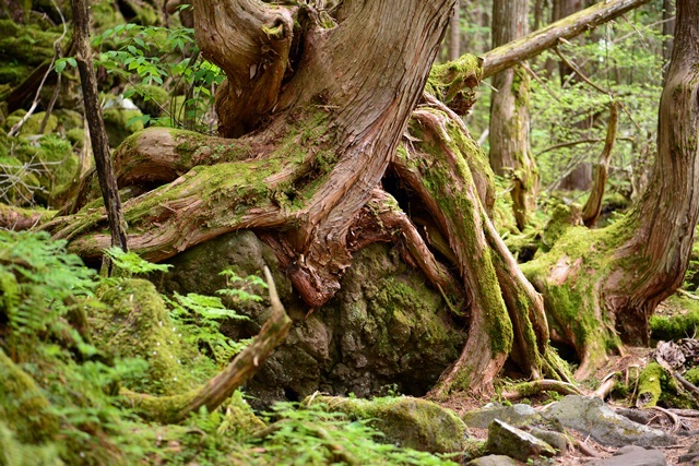 f0373905_10003215.jpg