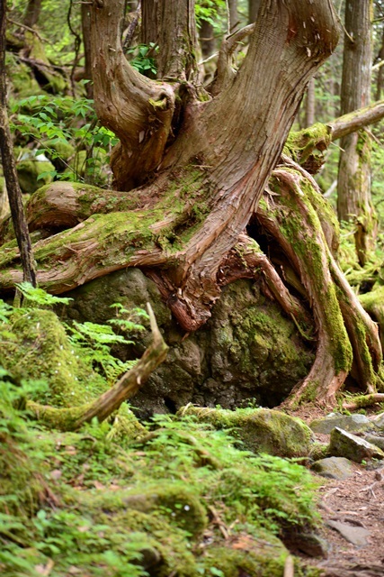 f0373905_10003586.jpg