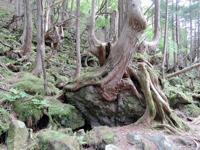 f0373905_10003810.jpg