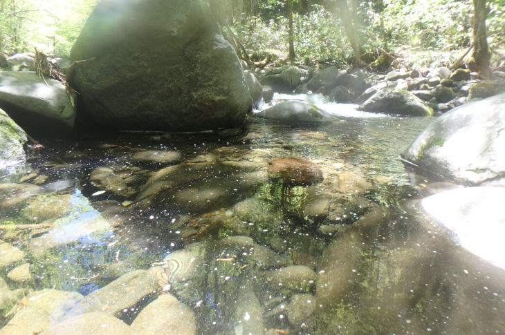 a0335310_22314323.jpg
