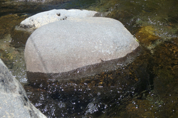 a0335310_22324126.jpg