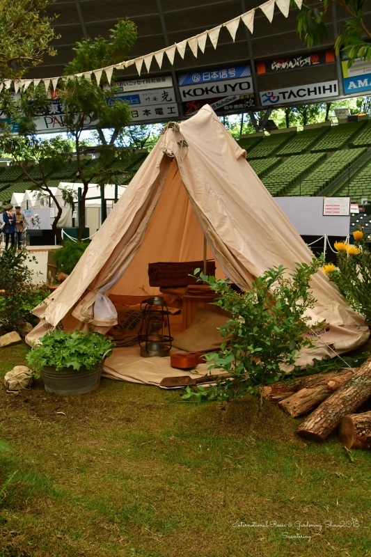国際バラとガーデニングショウ 2018 続き_b0223512_22405198.jpg