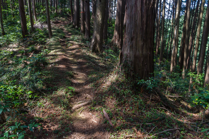 久し振りに日和田山へ_b0010915_18214268.jpg