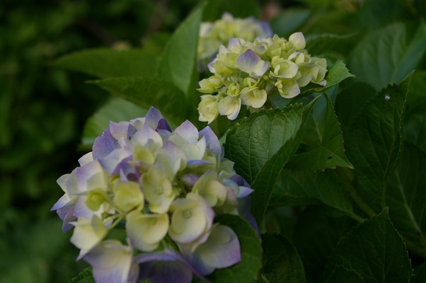 b0275715_23103116.jpg