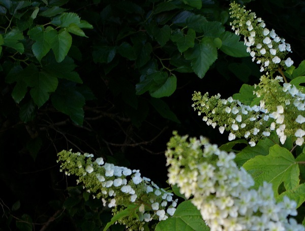 b0275715_23110639.jpg