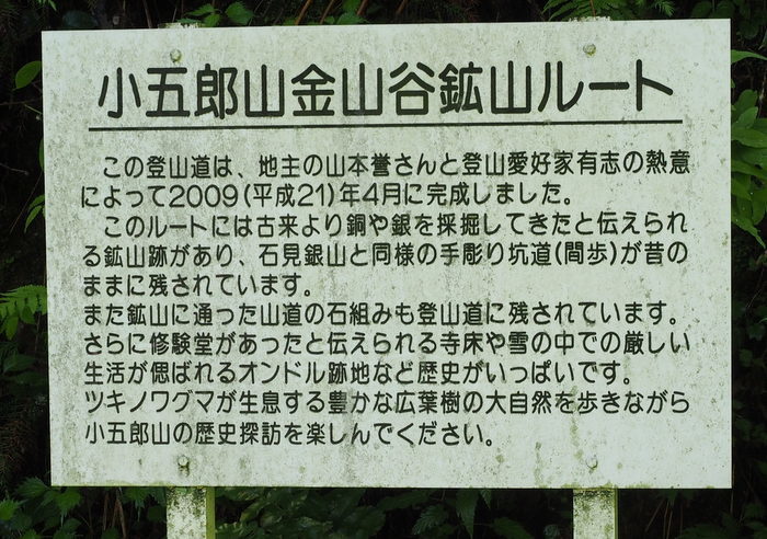 小五郎山縦走_c0116915_22474282.jpg