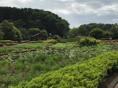 e0373815_14425764.jpg