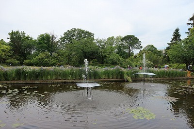 e0373815_15050489.jpg