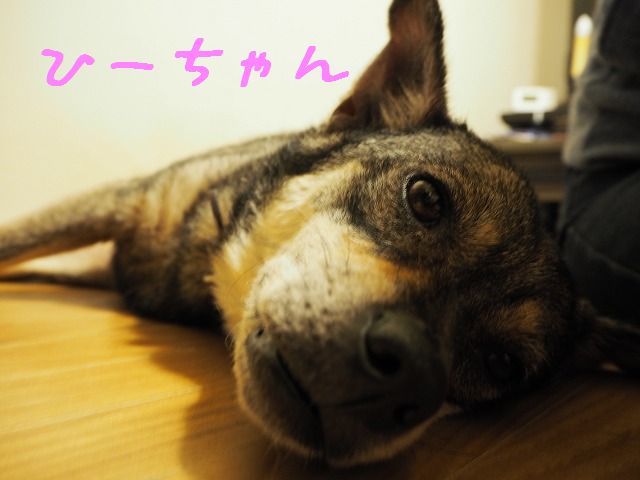 f0282319_06473272.jpg