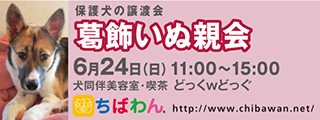 6/12引き出し編・レポート紹介　全　４8頭_f0078320_02414311.jpg