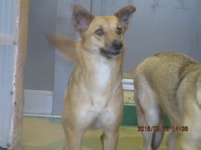 f0078320_17163102.jpg