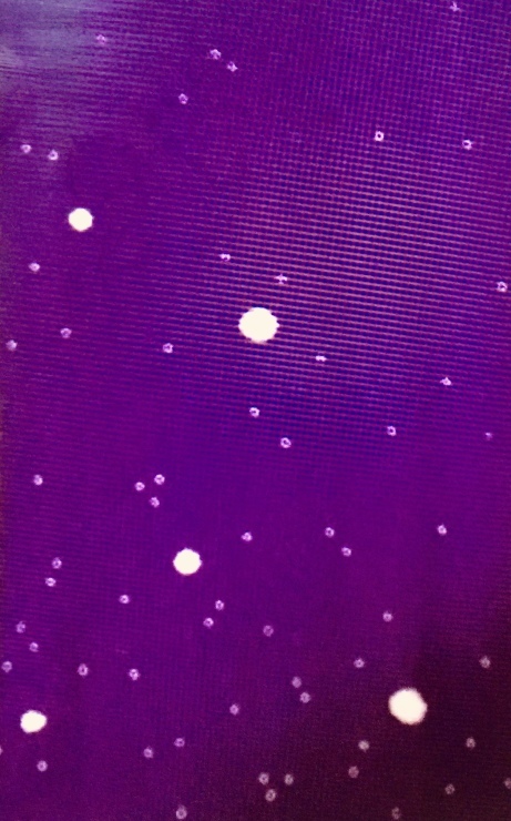 d0161928_10485529.jpeg