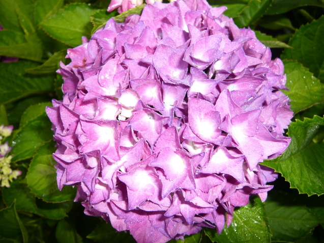 a0206332_08142765.jpg