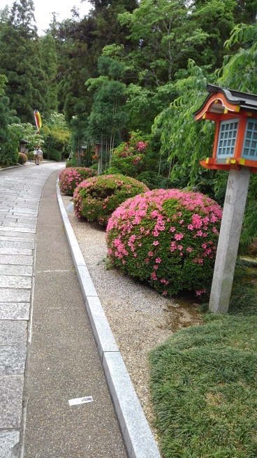 c0236632_16051550.jpg