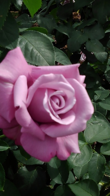 c0236632_16081851.jpg