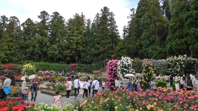 c0236632_16091857.jpg