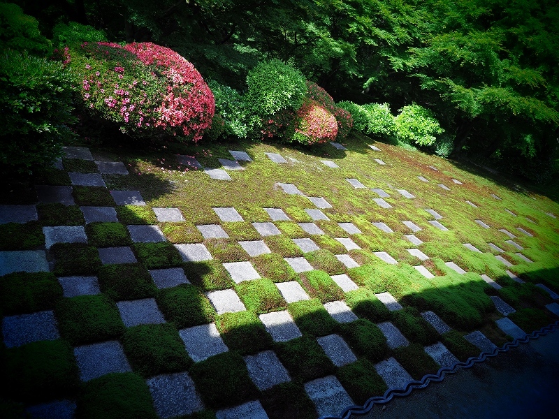 庭園_e0374932_06242321.jpg