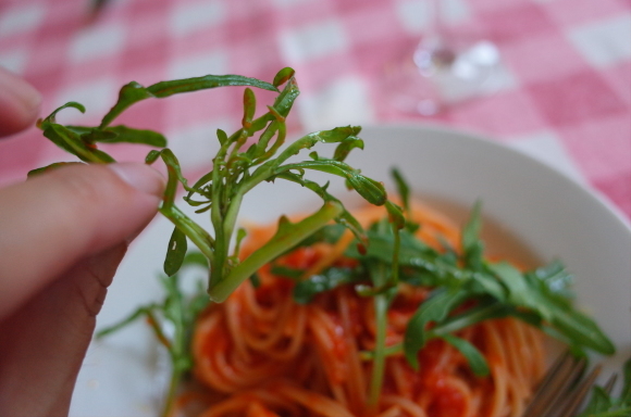 Trattoria Fonte (トラットリアフォンテ)　神奈川県鎌倉市/イタリアン～春の鎌倉散策 その5_a0287336_16062779.jpg