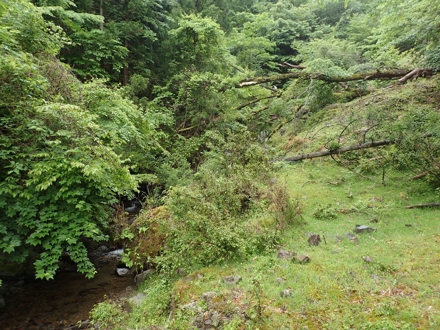 d0378939_07173692.jpg