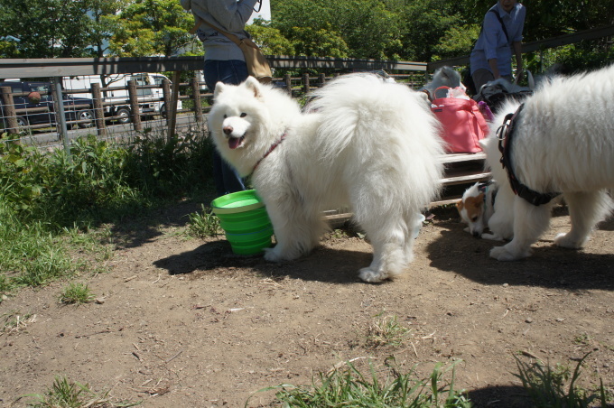 ２０１８年５月　神奈川～山梨旅行　その１_f0128542_02391815.jpg