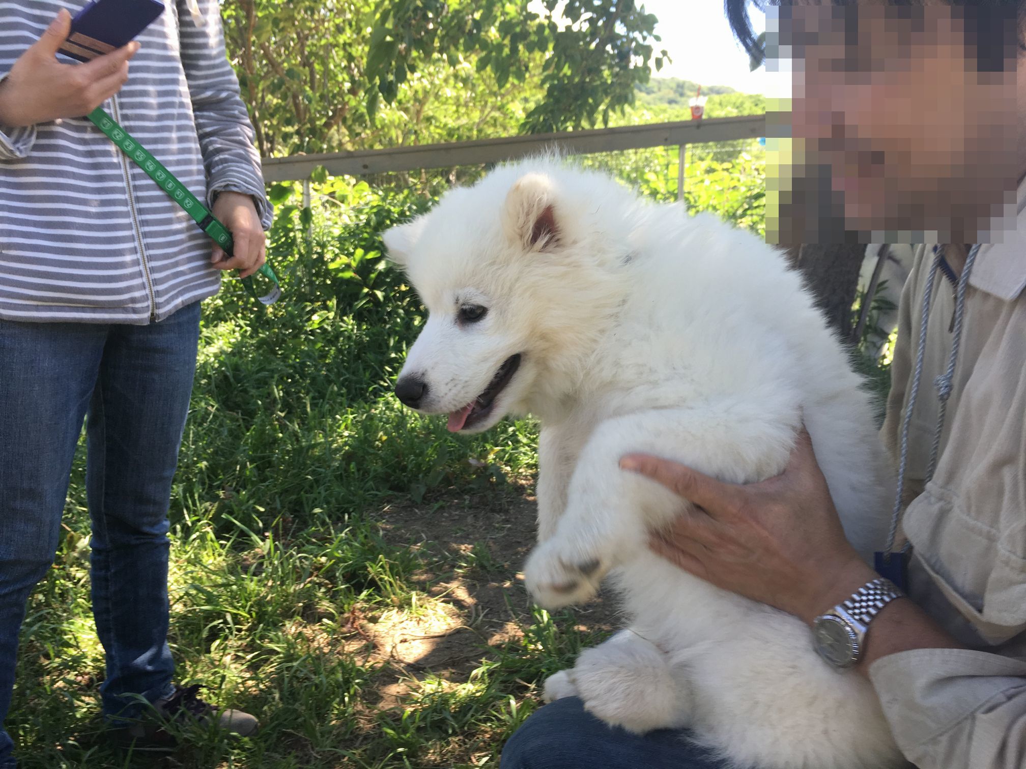 ２０１８年５月　神奈川～山梨旅行　その１_f0128542_02422550.jpg