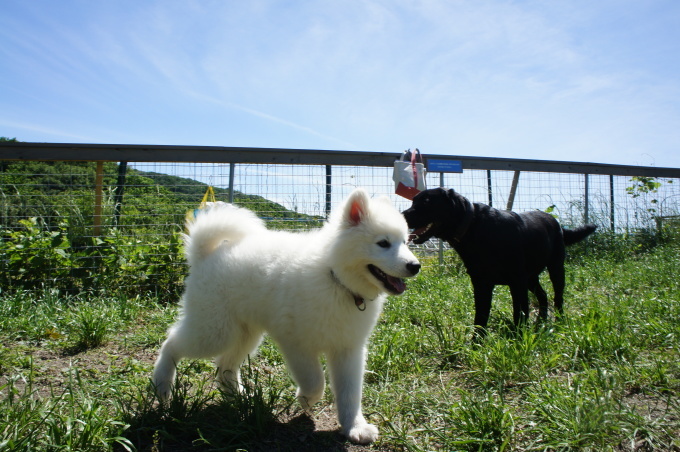 ２０１８年５月　神奈川～山梨旅行　その１_f0128542_03161179.jpg