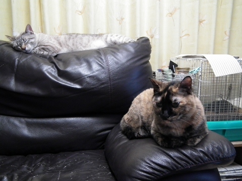 d0358843_01005169.jpg