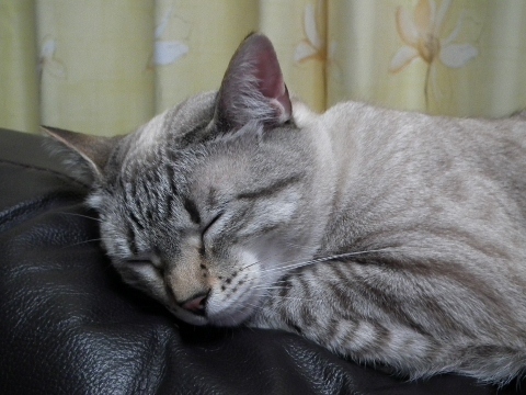 d0358843_01005173.jpg